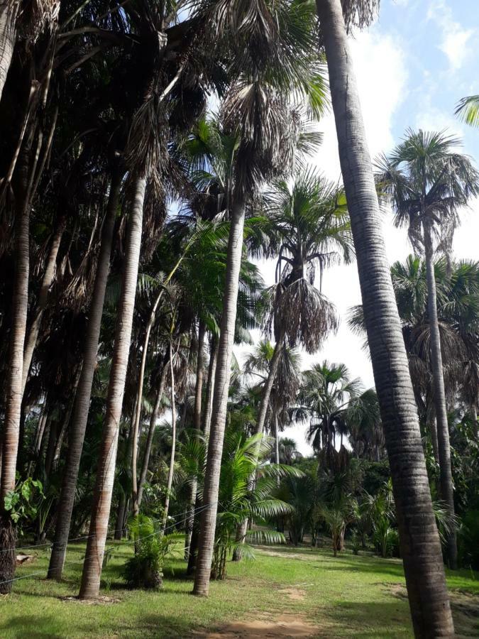 Pousada Vasto Horizonte Barreirinhas Bagian luar foto